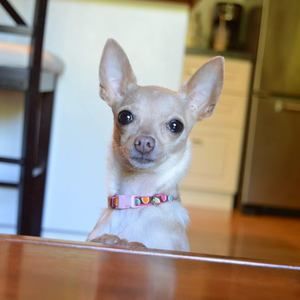 Meet your Posher, Danielle